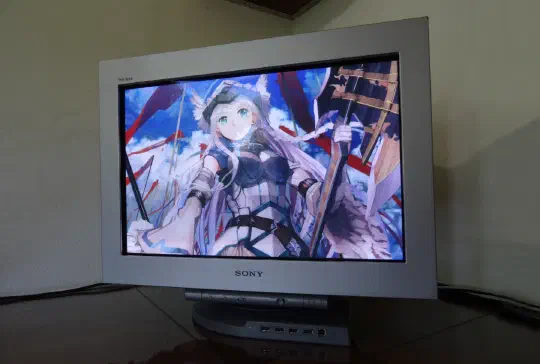 Sony GDM-FW900 CRT Monitor: An Overseas Purchase